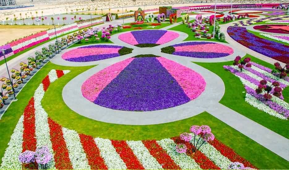 45 مليون زهرة تجعل “دبي ميراكل جاردن” أكبر حديقة زهور في العالم