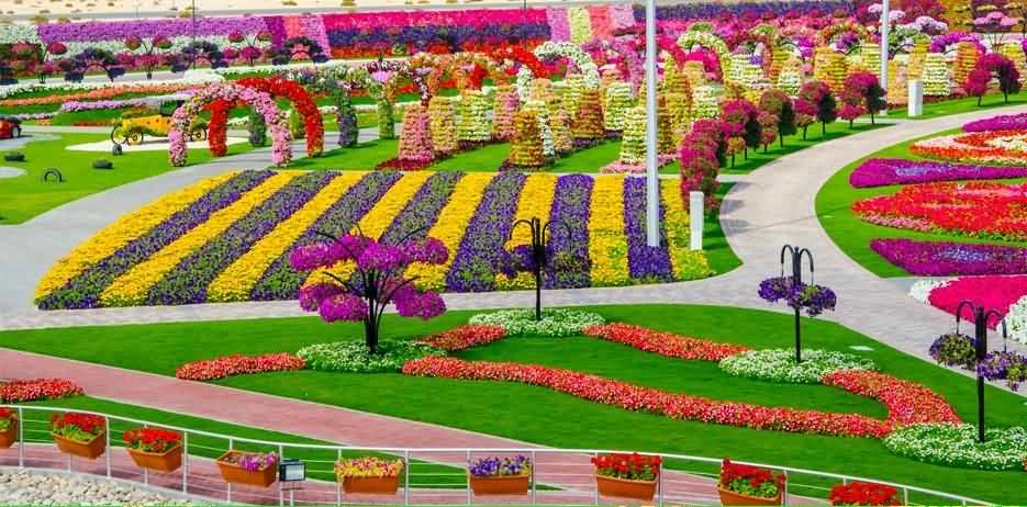 45 مليون زهرة تجعل “دبي ميراكل جاردن” أكبر حديقة زهور في العالم