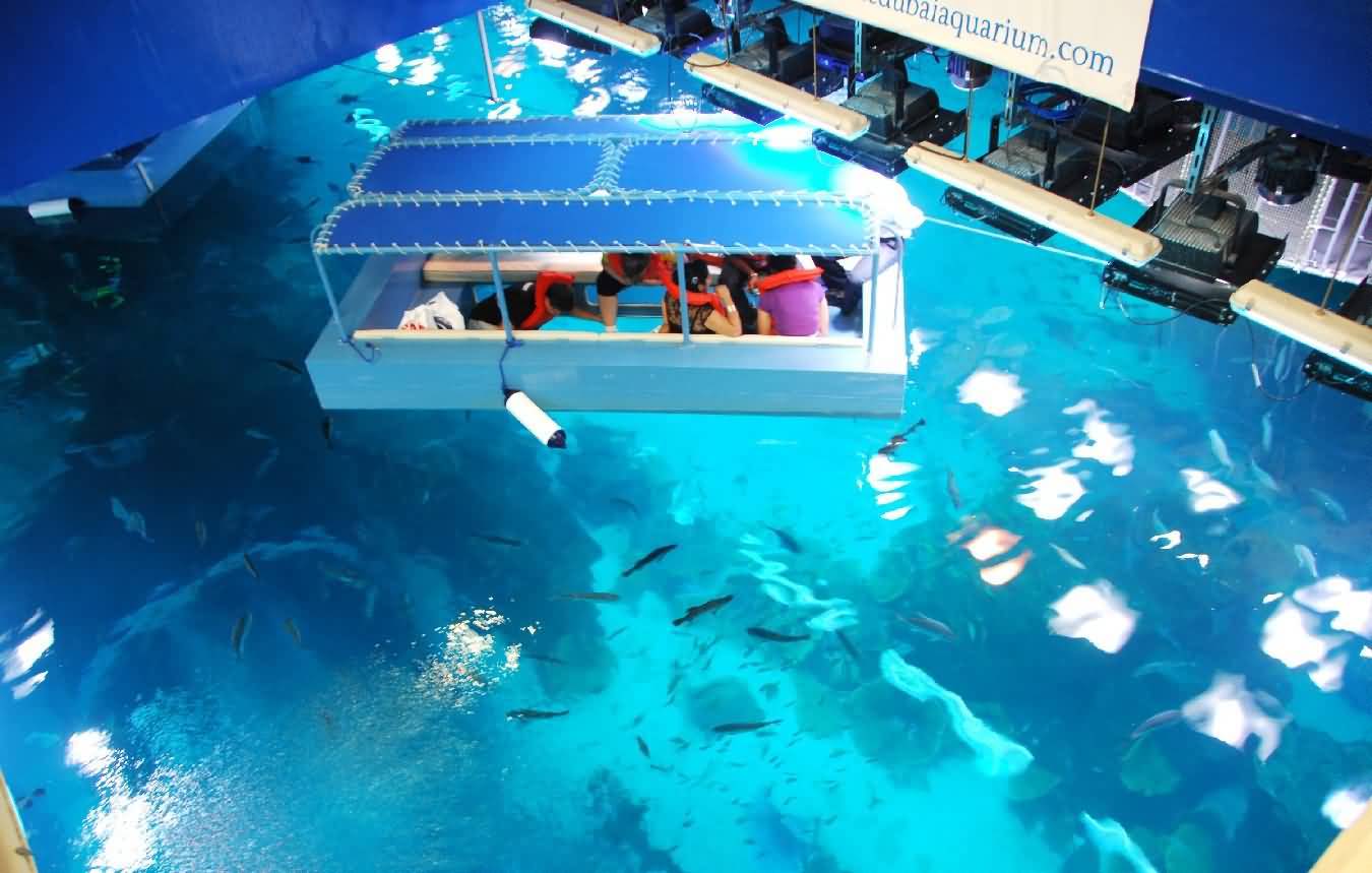 Visitors enjoy Glass Bottom Boat rides at Dubai Aquarium Underwater Zoo