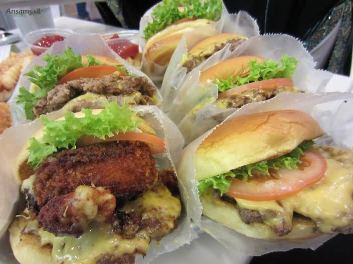 مطعم شيك شاك للهامبرغر الأمريكي – مول الامارات