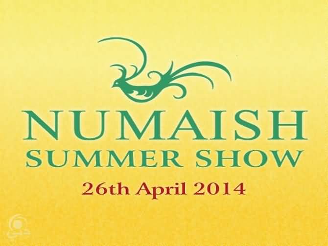 20140209_Numaish-Summer-Show