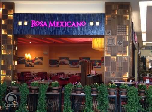 مطعم روزا مكسيكانو للمأكولات المكسيكية – مردف