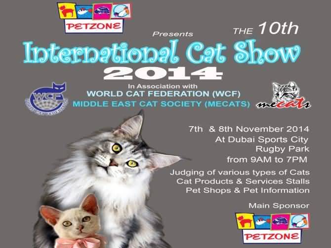20141026_10th International Cat Festival