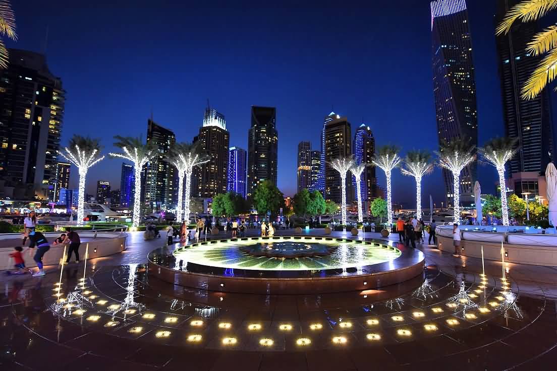 Dubai Marina (Night)