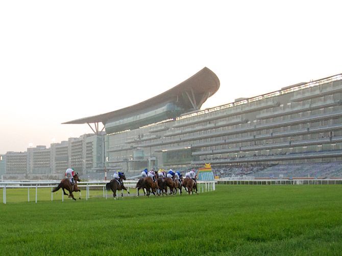 دبي تستضيف السباق الثامن من سباقات الخيل في ميدان 2015 / 2016