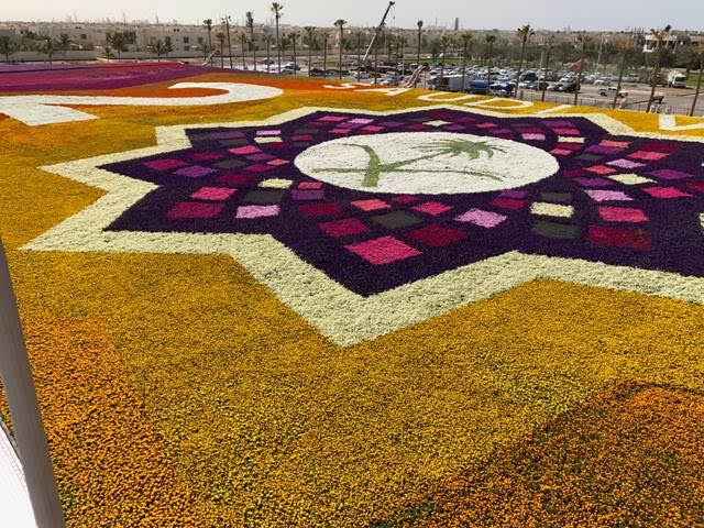 السعودية تدخل موسوعة غينيس عن أكبر سجادة من الزهور