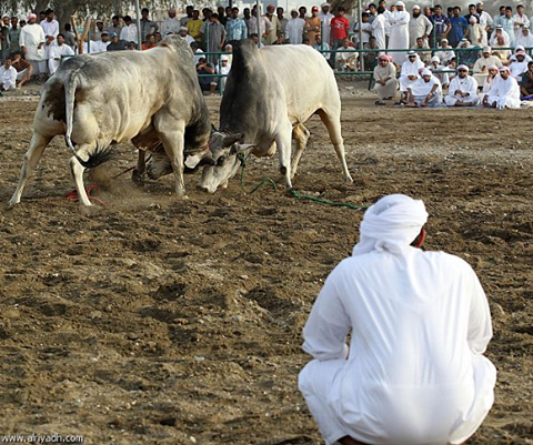 10624992_422889901207732_8993298030768394624_n