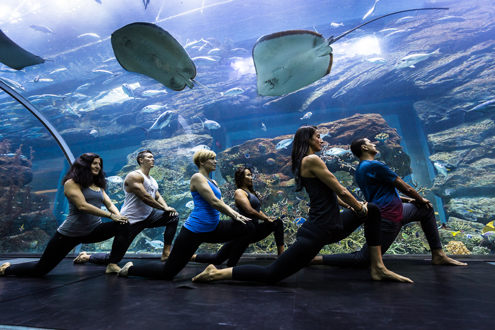 Underwater Yoga at Dubai Aquarium&Underwater Zoo