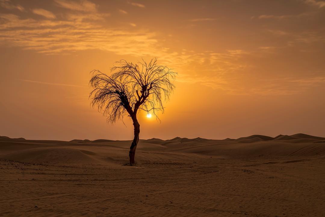 غروب الشمس في دبي