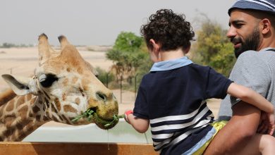 عروض عيد الفطر من حديقة الحيوانات بالعين