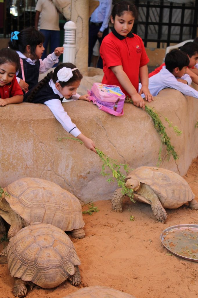 مخيم الأطفال الصيفي من منتجع وحديقة الإمارات للحيوانات