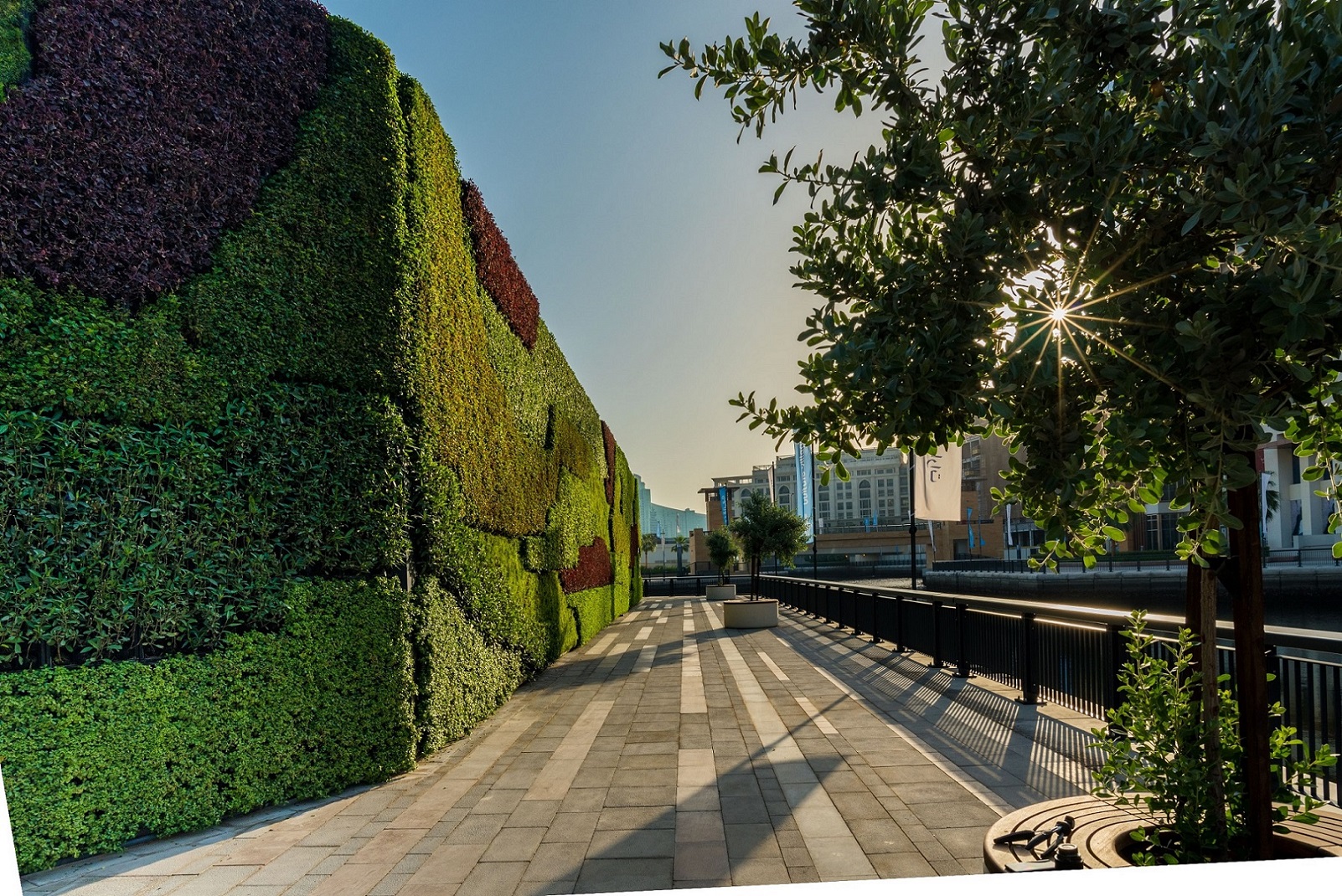 أكبر جدار أخضر بالشرق الأوسط في دبي وورف