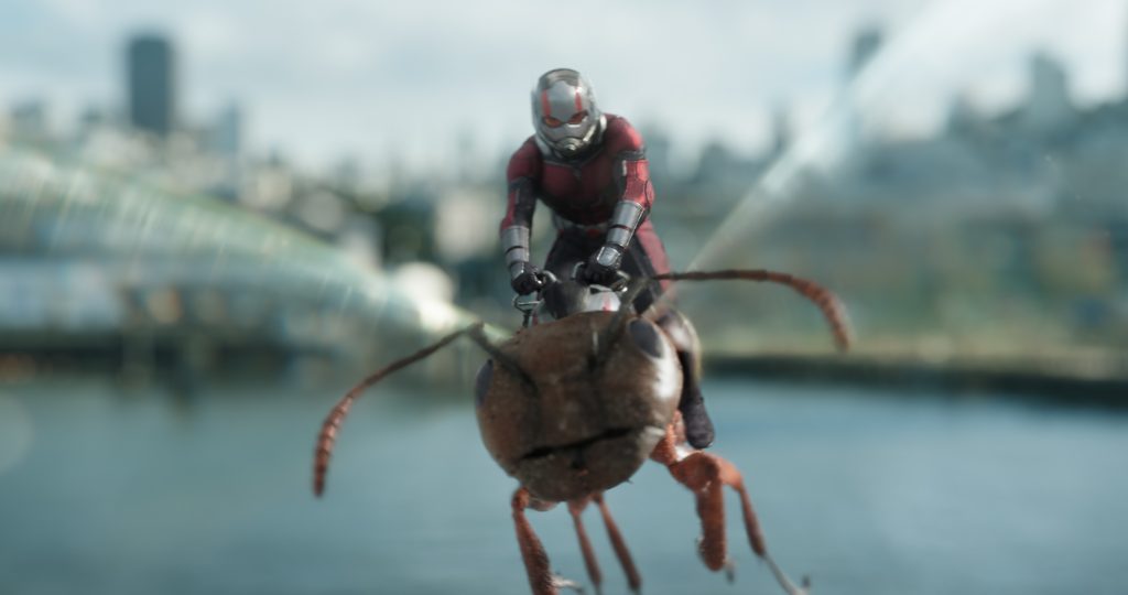 موعد عرض فيلم ANT MAN AND THE WASP