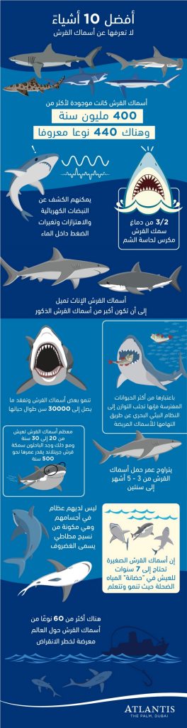 عروض منتجع أتلانتس النخلة على التجارب البحرية