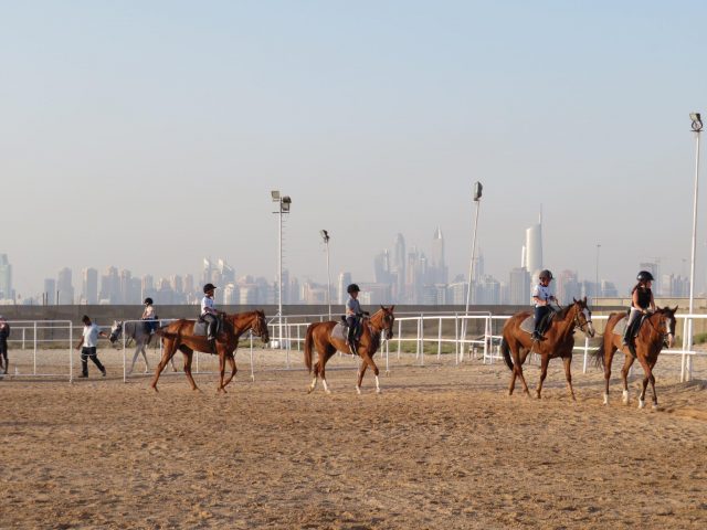 نادي جبل علي للفروسية