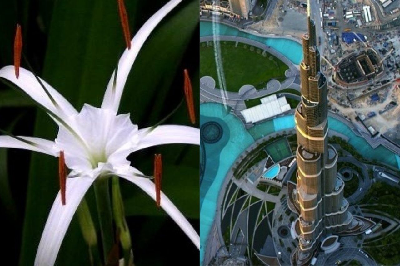 معالم سياحية أيقونية في دبي