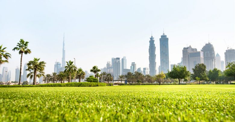 أين تذهب للتنزه خلال فصل الشتاء في دبي ؟
