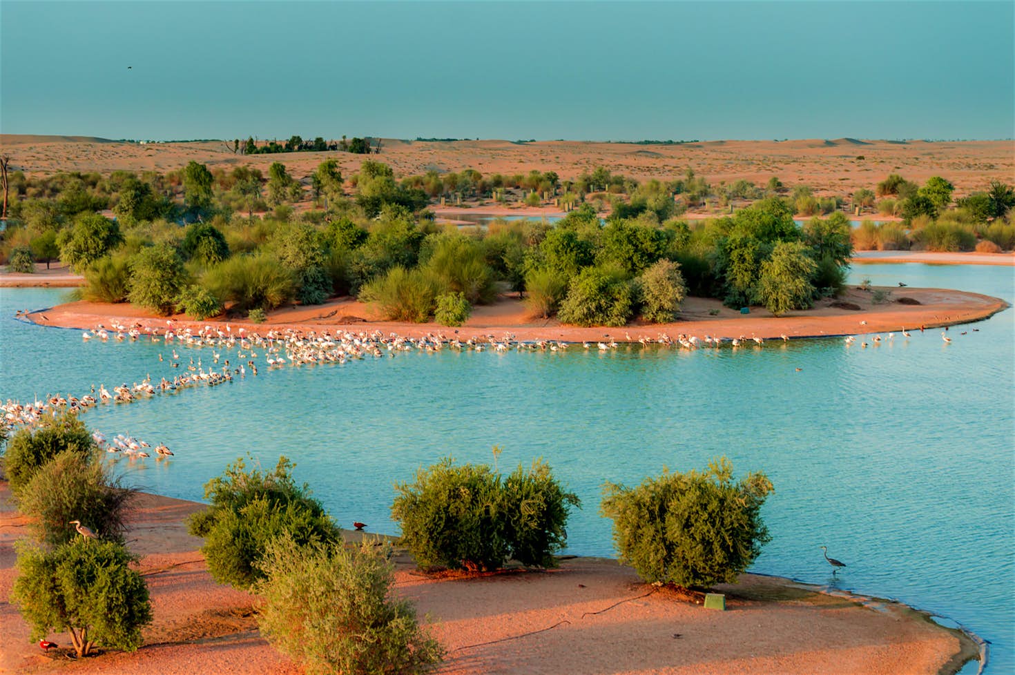 بحيرة القدرة