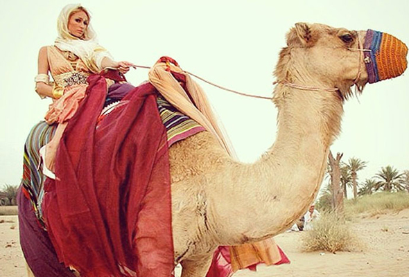 باريس هيلتون Paris Hilton
