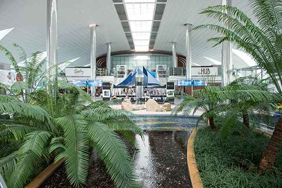 استمتع بحدائق زين zen gardens