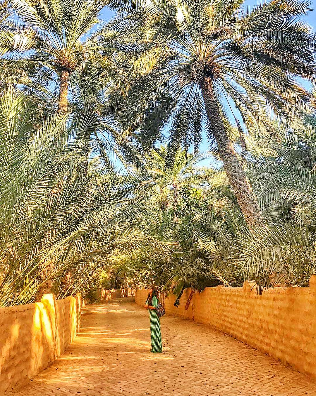 واحة العين