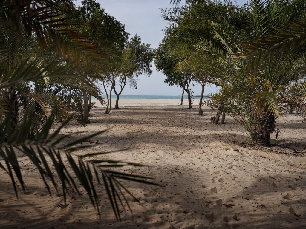 مشروع الجرف من شركة إمكان العقارية