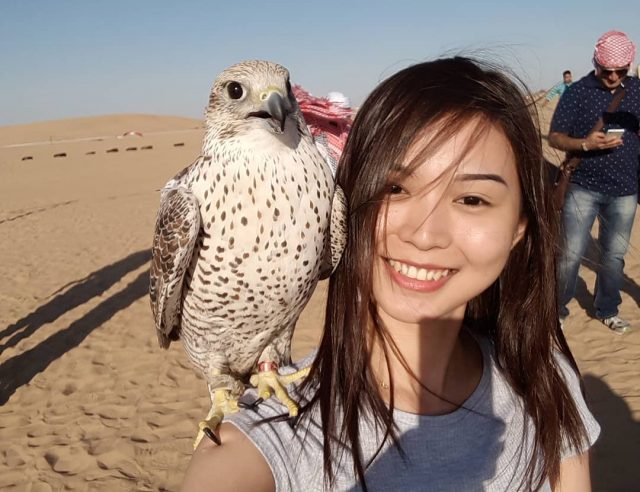 صور تذكارية مع الصقر Falcon selfie