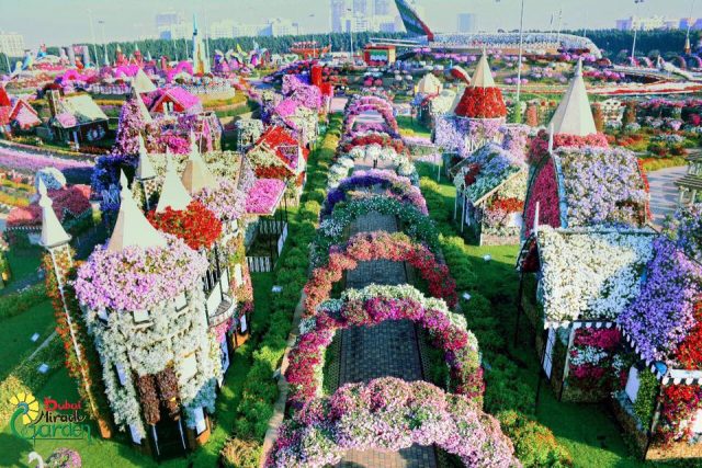 حديقة دبي ميراكل Dubai Miracle Garden