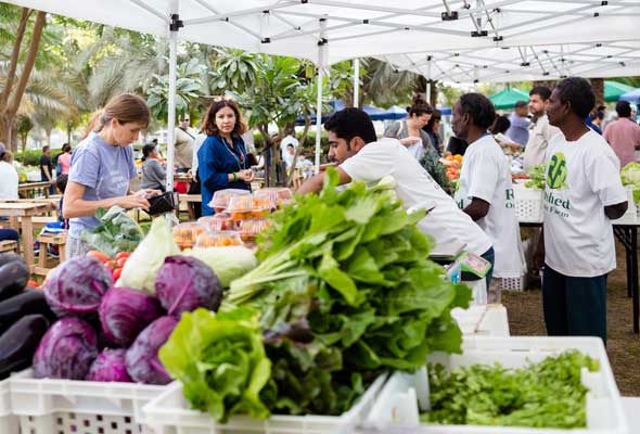 سوق المزارعين Farmers Market