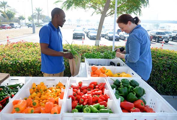 السوق العضوي Organic Souk