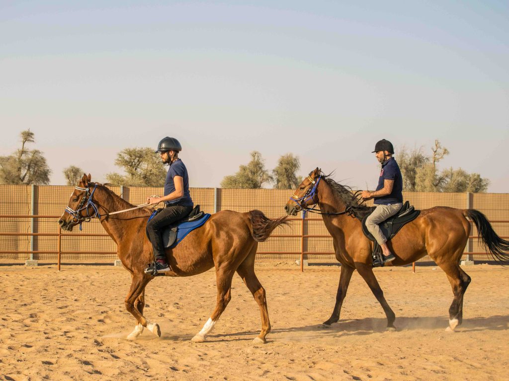 تجارب السياحة والاستكشاف في مليحة