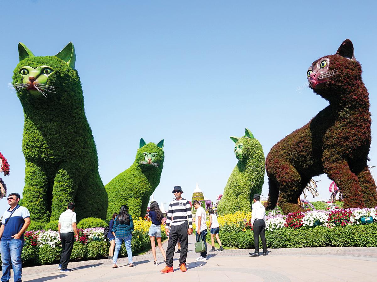 إفتتاح حديقة دبي المعجزة، لموسمها السابع وذلك بعد أن تم إعادة تصميمها