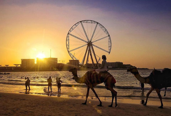 ذا بيتش جميرا بيتش ريزيدنس The Beach JBR