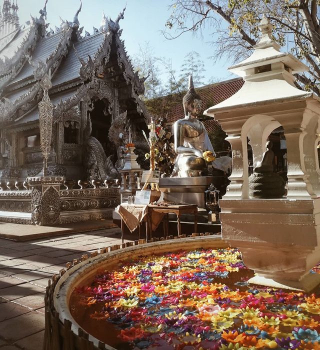 شيانج ماي ، تايلاند Chiang Mai, Thailand