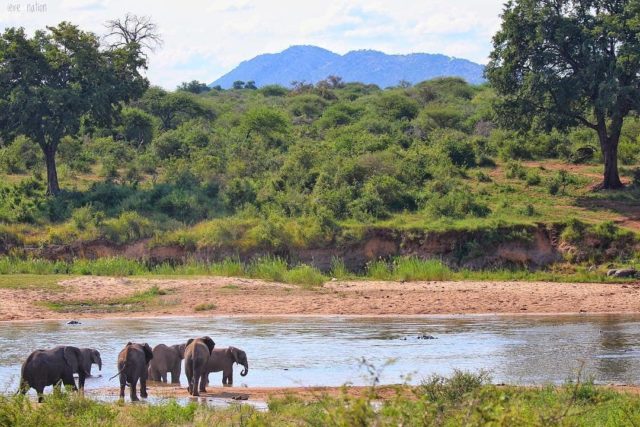 حديقة الملكة إليزابيث الوطنية في أوغندا Queen Elizabeth National Park in Uganda