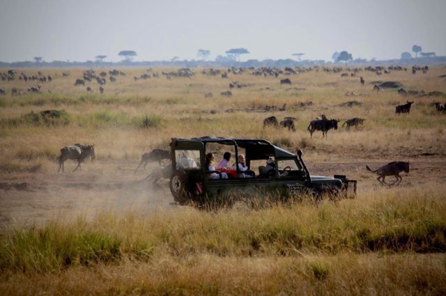 ماساي مارا في كينيا / تنزانيا Maasai Mara in Kenya/Tanzania