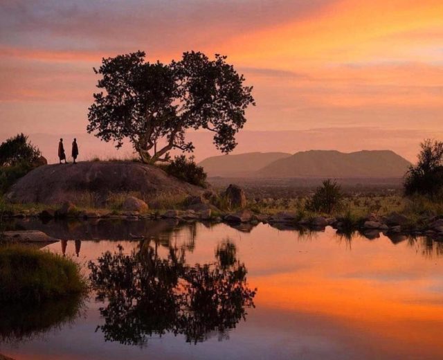 حديقة سيرينجيتي الوطنية في تنزانيا Serengeti National Park in Tanzania