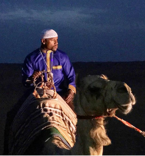 جولة على الجمل