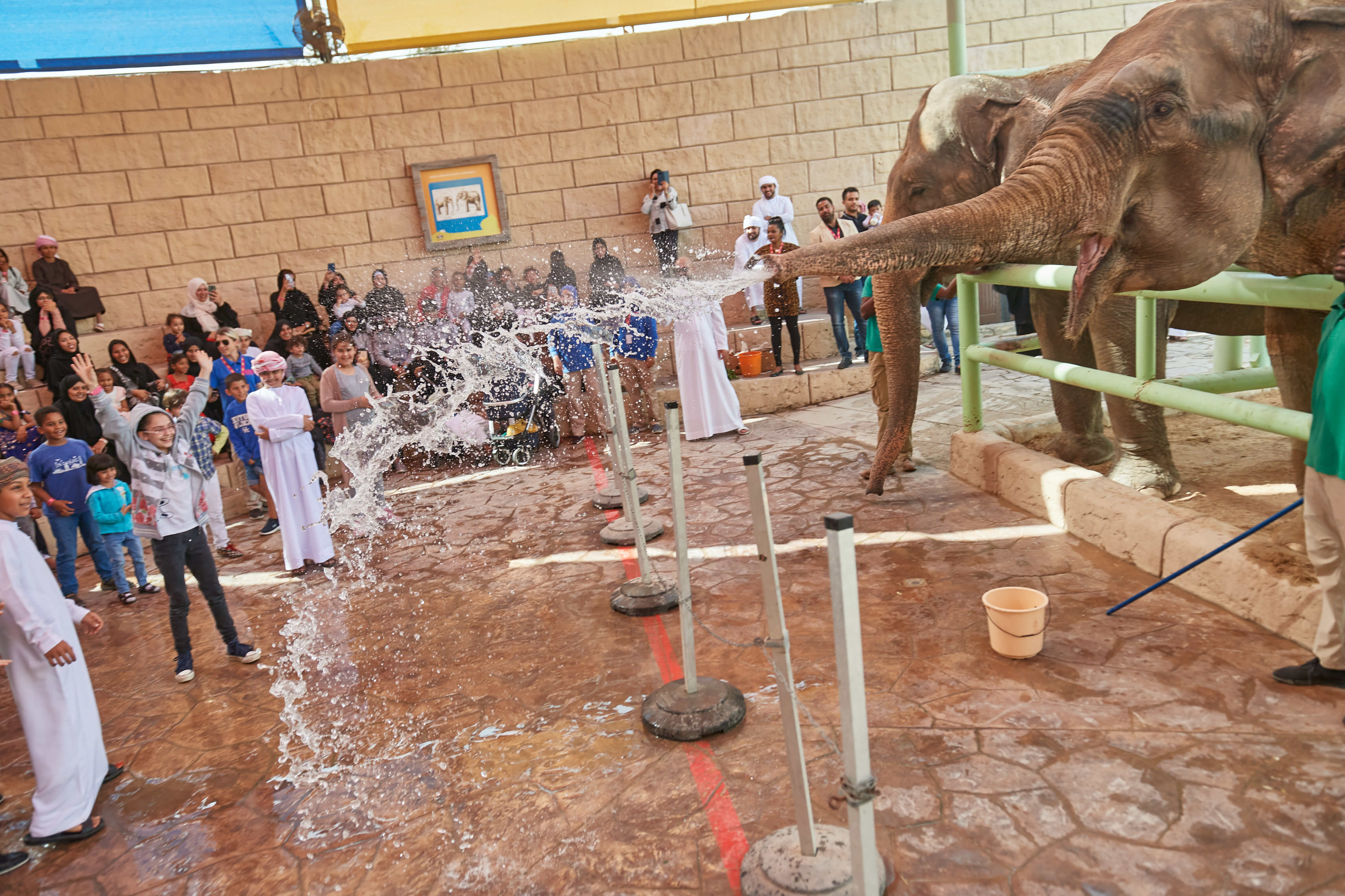 حديقة الإمارات للحيوانات تحتفل بيوم الطفل الإماراتي