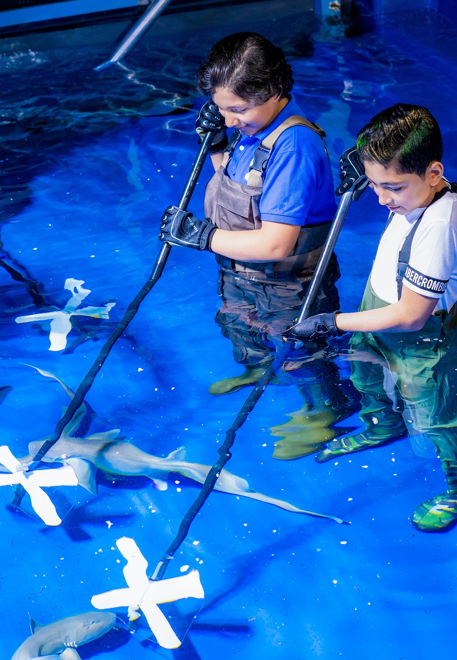 إنها فرصتكم لمشاهدة أسماك القرش عن قرب في دبي أكواريوم 