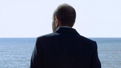 سينما عقيل تكشف عن برنامجها السينمائي ليبانون إن فوكوس