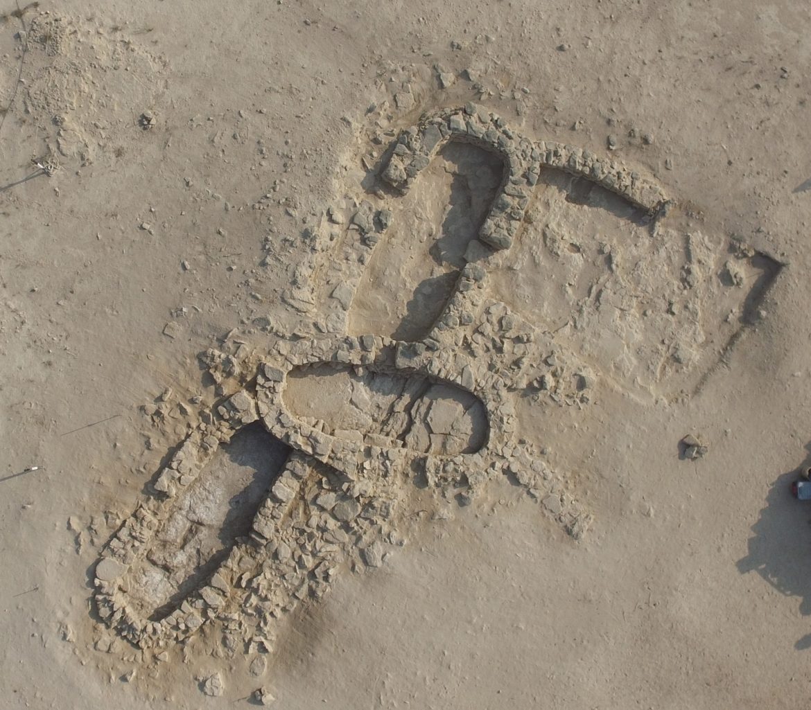 أبوظبي تكتشف أقدم لؤلؤة في العالم في جزيرة مروّح
