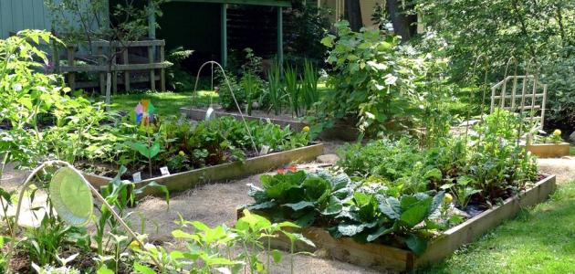 نصائح مهمة لإنشاء حديقتكم المنزلية