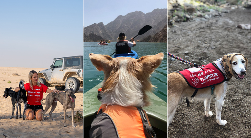 5 أنشطة يمكنك الإستمتاع بها مع كلبك اللطيف في دبي