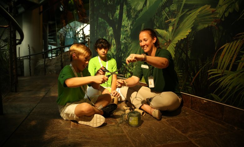 Activities at TGP