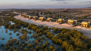 Anantara-Al-Yamm-Villa-Resort—Aerial-View-2