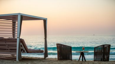 عرض Daddycation