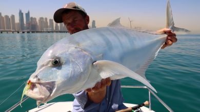 صيد السمك في الإمارات