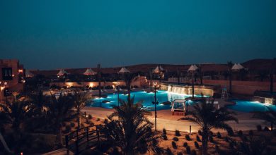 واحة البداير