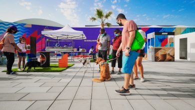 مهرجان الحيوانات الأليفة 2022